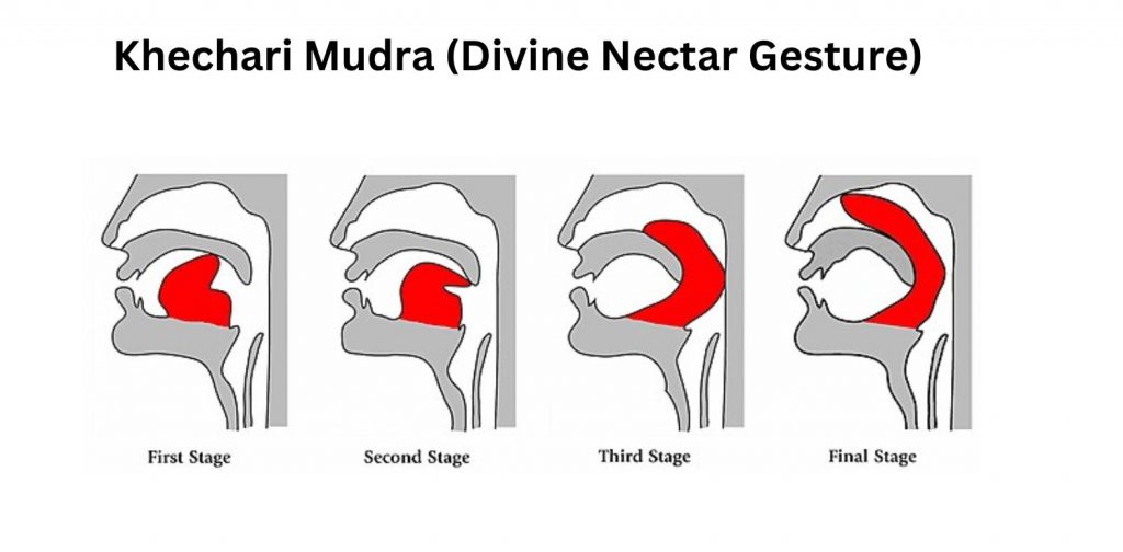 Khechari Mudra (Divine Nectar Gesture)