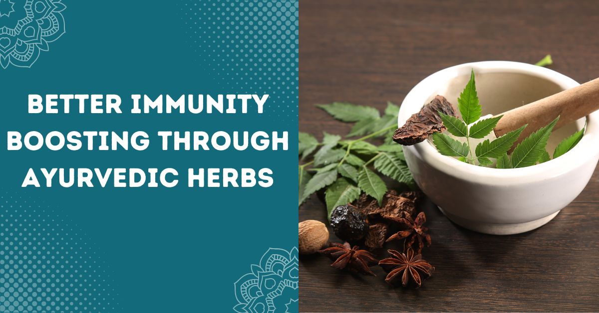 Better Immunity boosting through Ayurvedic herbs